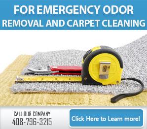 Case Story | We Removed Pet Stains and Odors