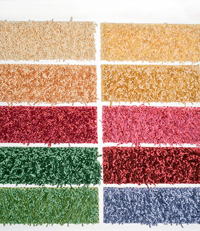 Carpet Cleaning Company in Santa Clara